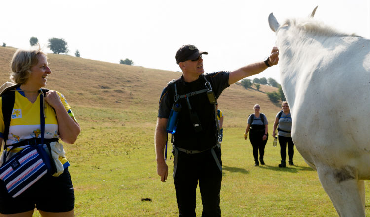 Walker and Horse