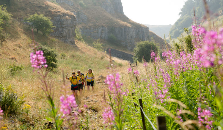 Walkers in the valley