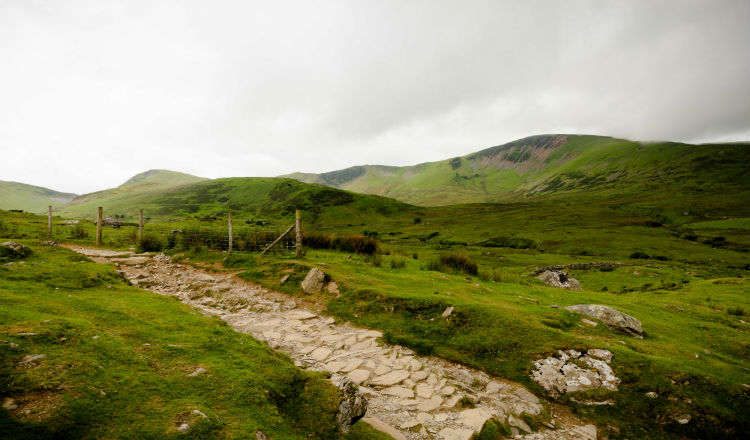 Marie Curie Snowdon Trek