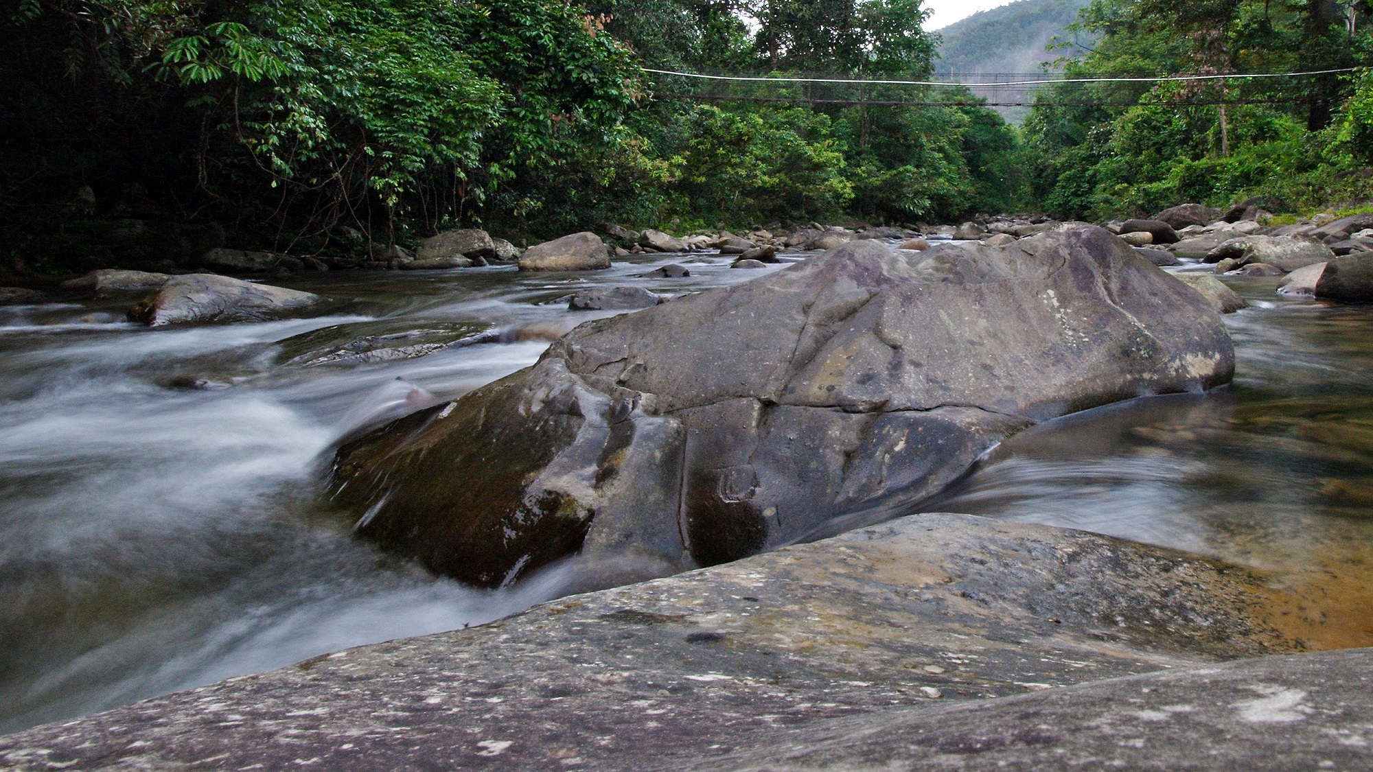 Borneo Trek